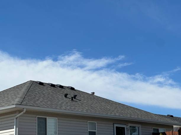 Best Roof Coating and Sealing  in Smoke Rise, AL